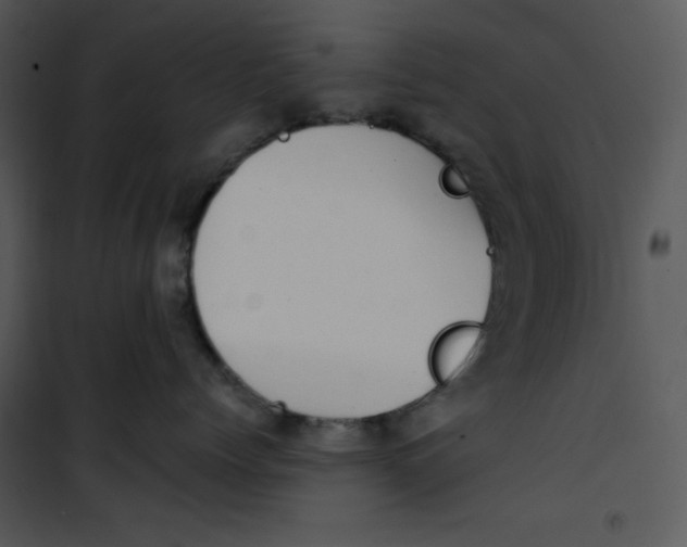 X0000100890768200807220951