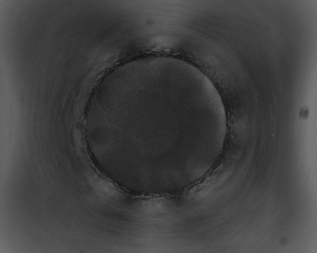 X0000100890769200807220951