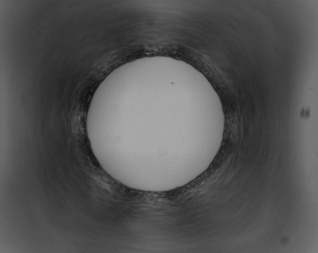 X0000100890770200807220951