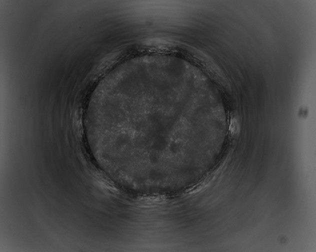 X0000100890771200807220951