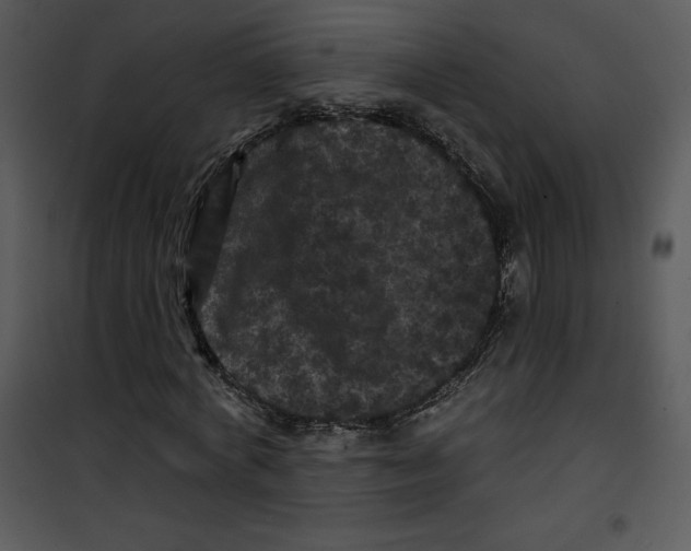 X0000100890772200807220951