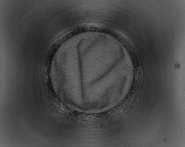 X0000100890774200807220951