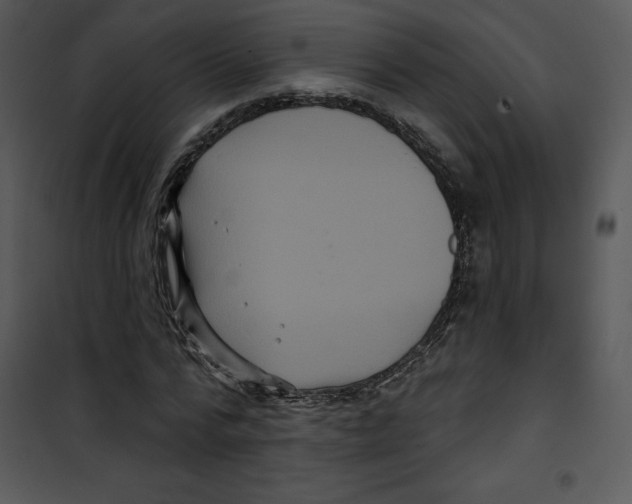 X0000100890776200807220951