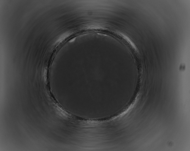 X0000100890777200807220951