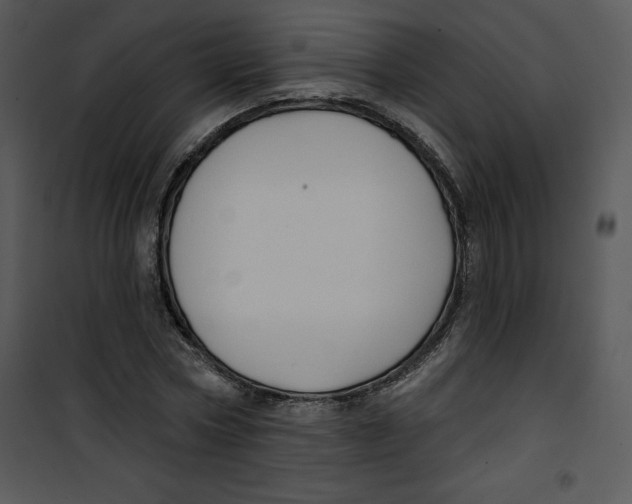 X0000100890778200807220951