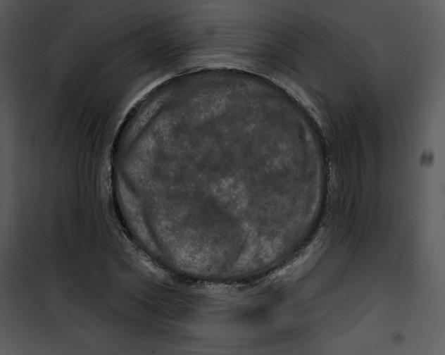 X0000100890782200807220950