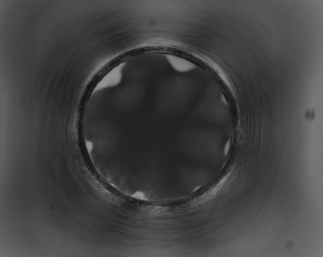 X0000100890783200807220950