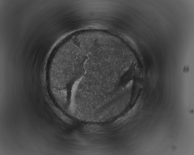 X0000100890784200807220950