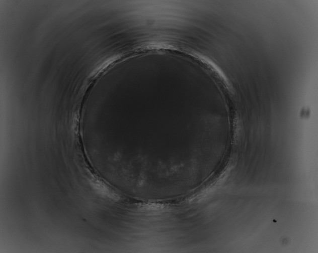 X0000100890785200807220950