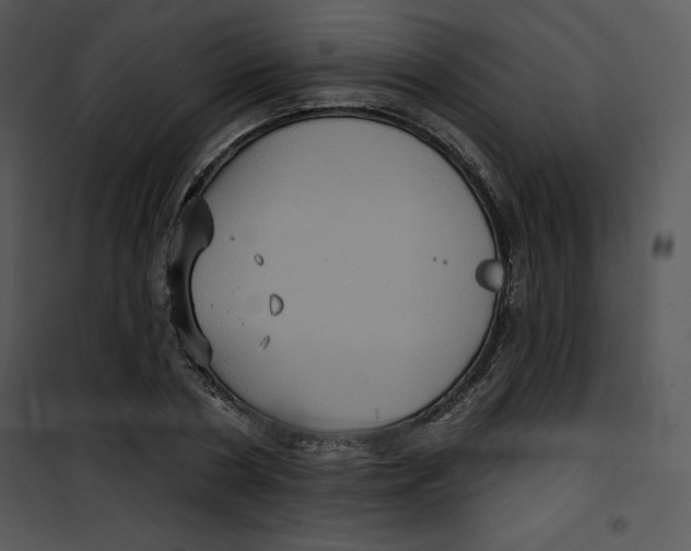 X0000100890786200807220950