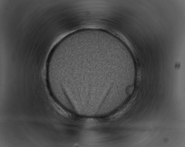 X0000100890787200807220950