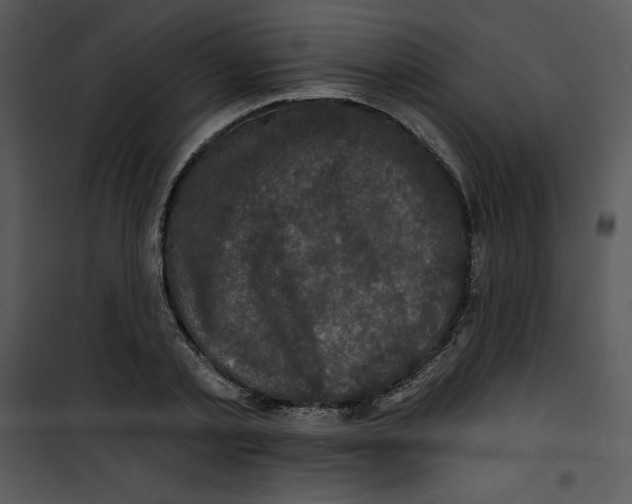 X0000100890789200807220950