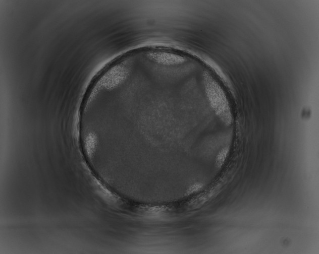 X0000100890791200807220950