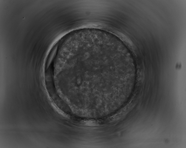 X0000100890792200807220950