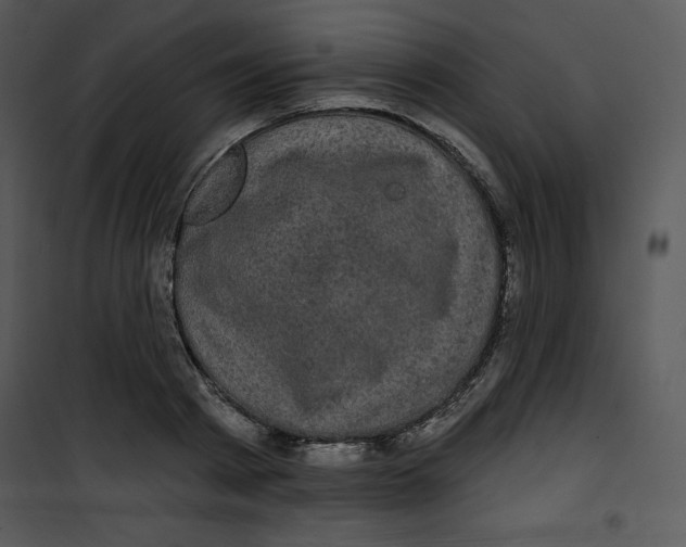 X0000100890793200807220950