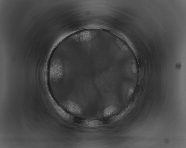 X0000100890795200807220950