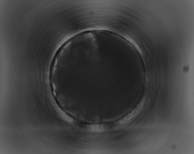 X0000100890797200807220950