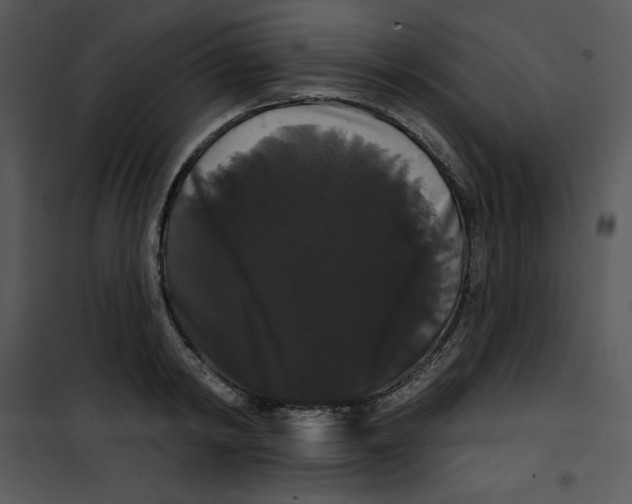 X0000100890798200807220950