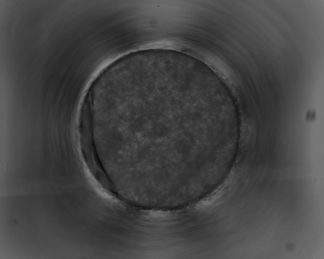 X0000100890800200807220950