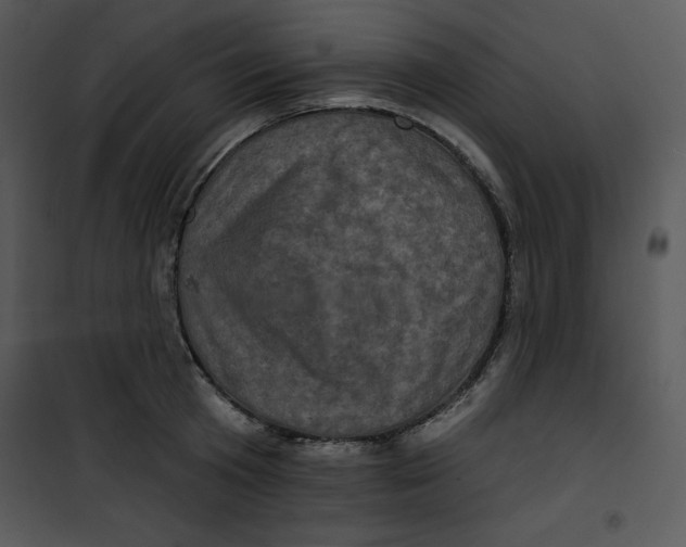 X0000100890801200807220950