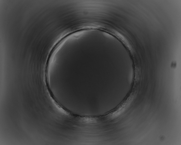 X0000100890802200807220950