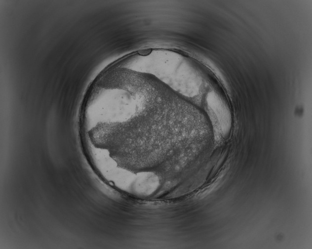 X0000100890803200807220950