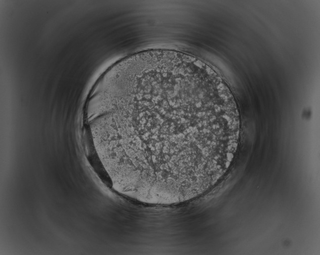 X0000100890804200807220950