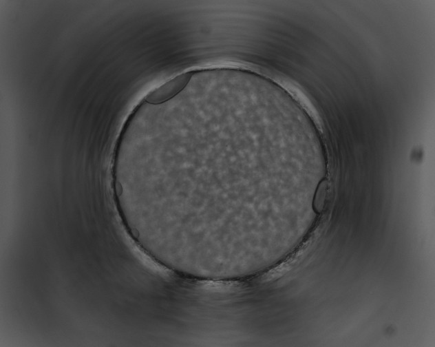 X0000100890805200807220950