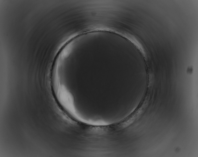 X0000100890806200807220950