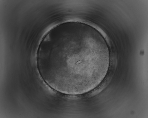 X0000100890807200807220950