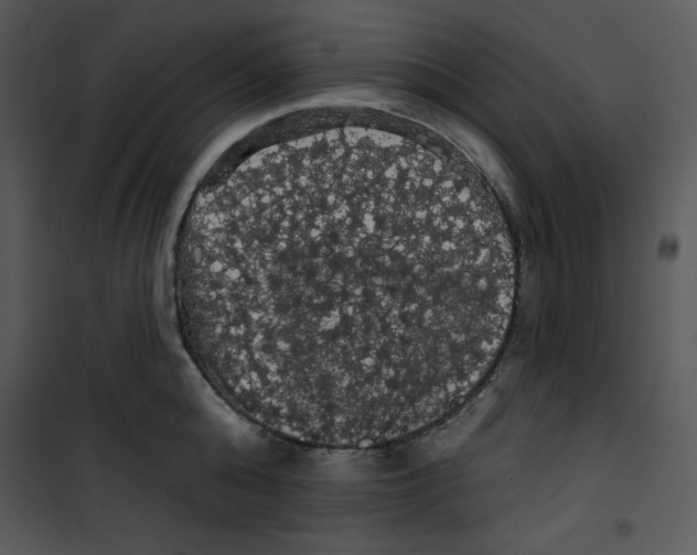 X0000100890808200807220950