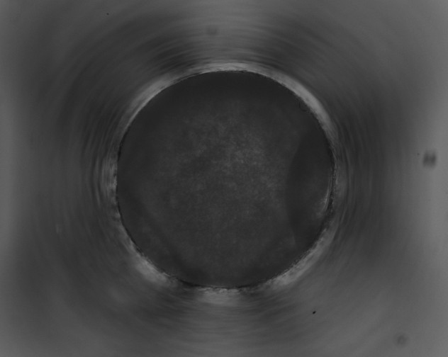 X0000100890809200807220950