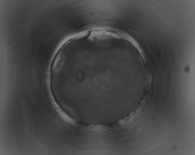 X0000100890811200807220950