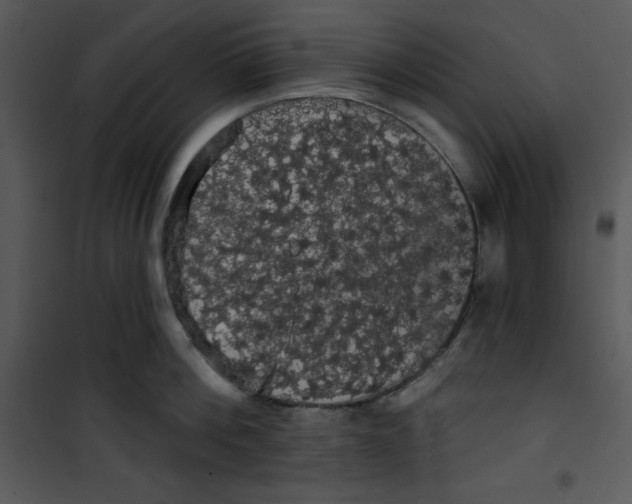 X0000100890812200807220950