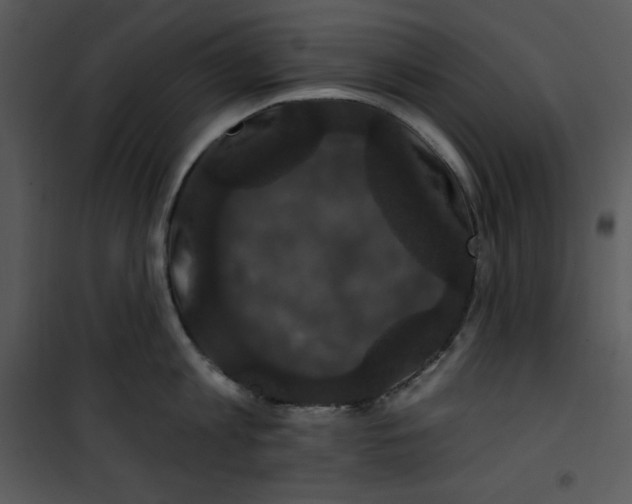 X0000100890813200807220950