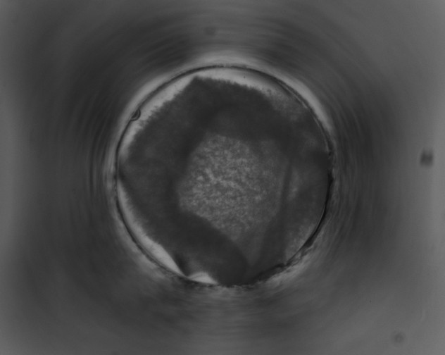 X0000100890815200807220950