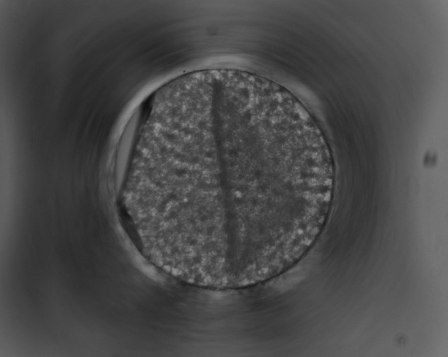 X0000100890816200807220950