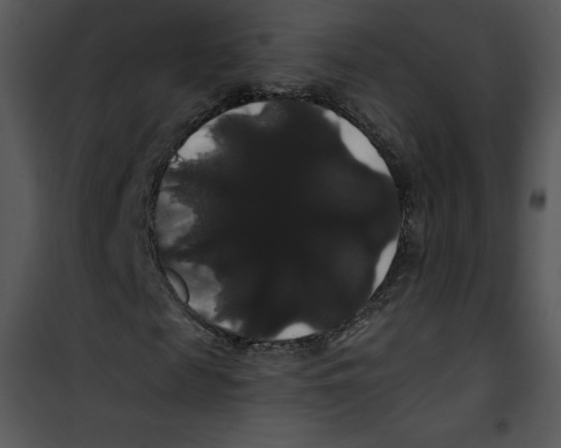 X0000100890817200807220949