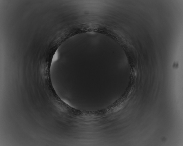 X0000100890818200807220949