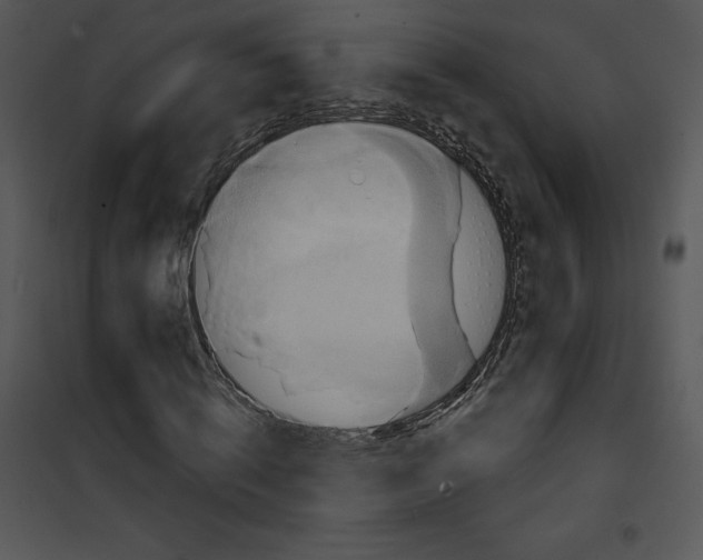 X0000100890820200807220949