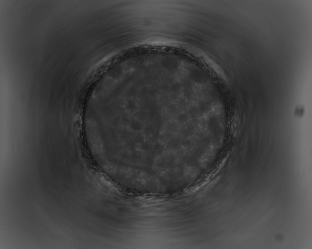 X0000100890821200807220949