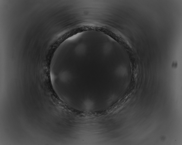 X0000100890822200807220949