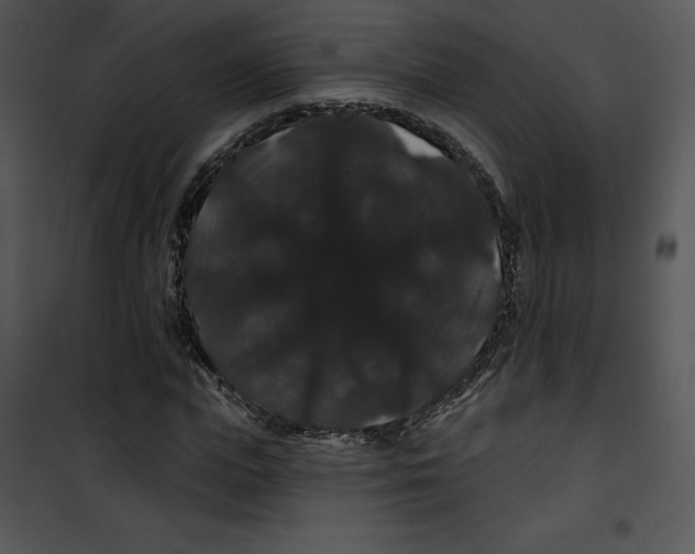 X0000100890823200807220949