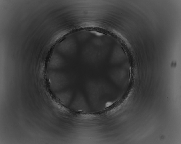 X0000100890825200807220949