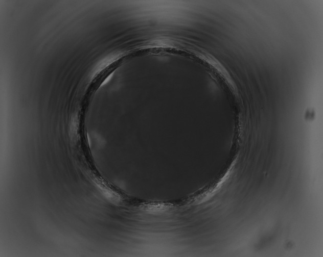 X0000100890826200807220949