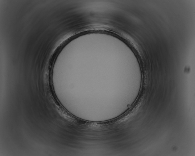 X0000100890827200807220949