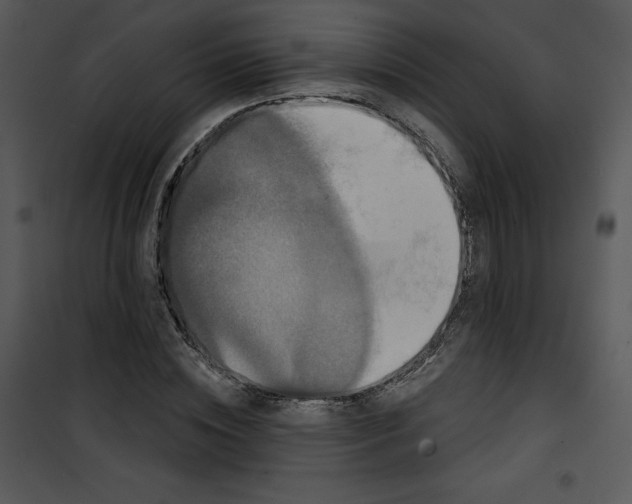 X0000100890828200807220949