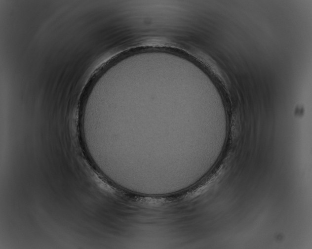 X0000100890831200807220949