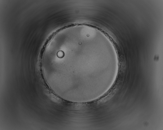 X0000100890832200807220949