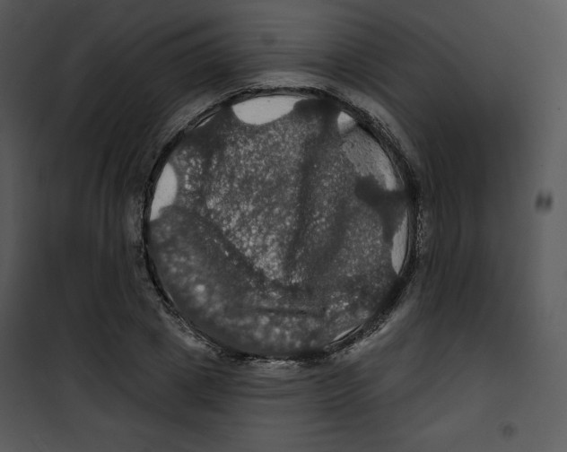 X0000100890833200807220949